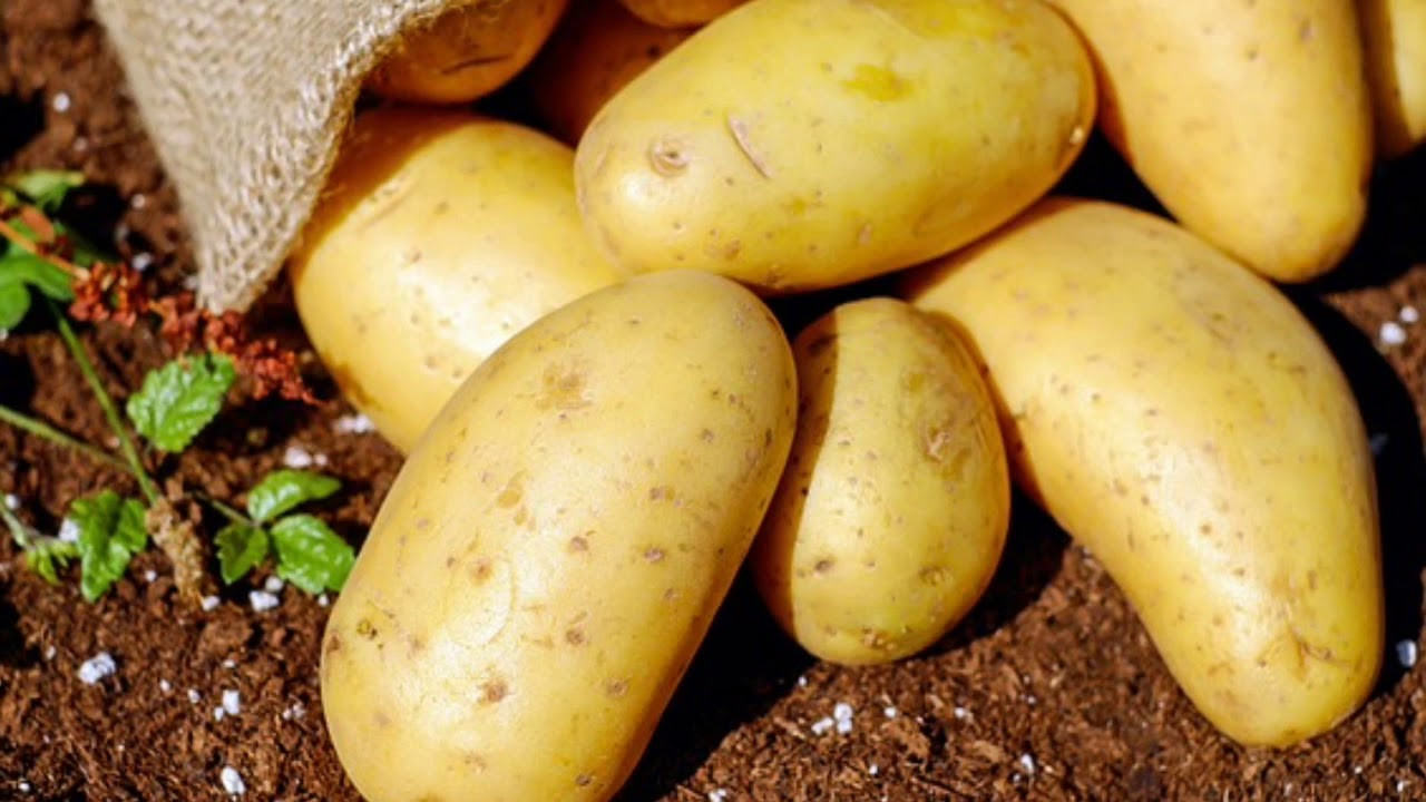 كيف تغيّرت أسعار السلع في سوري...