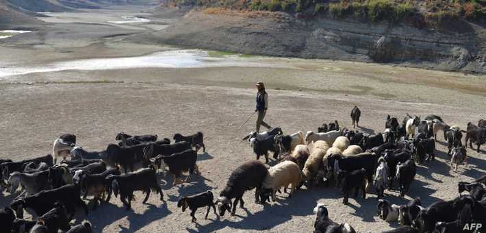 دراسة: التغير المناخي والجفاف...