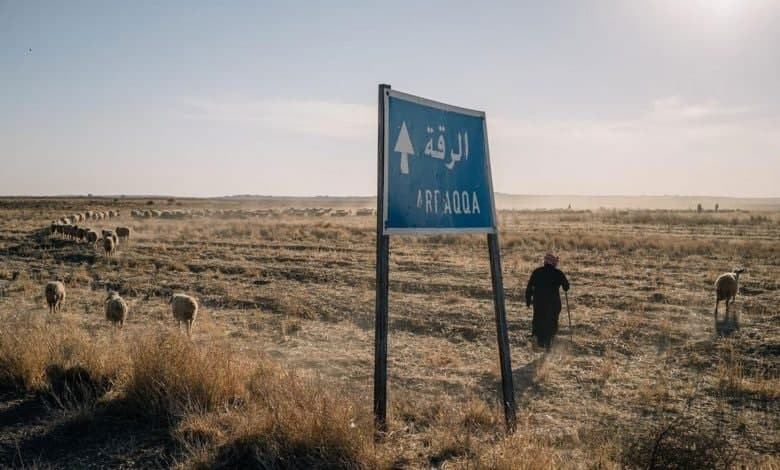 البادية السورية.. قوات النظام...