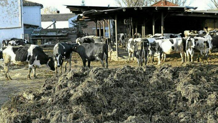 آخر صرعات النظام.. قروض لاستخد...