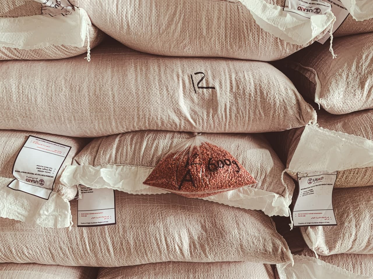 ردا على الشكوك.. وكالة أمريكية...