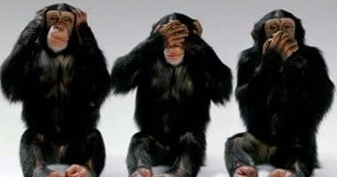 أردوغان: العالم الغربي أخذ وضع...