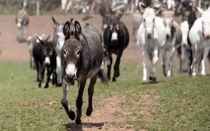 بسبب ندرة المحروقات.. ارتفاع أ...