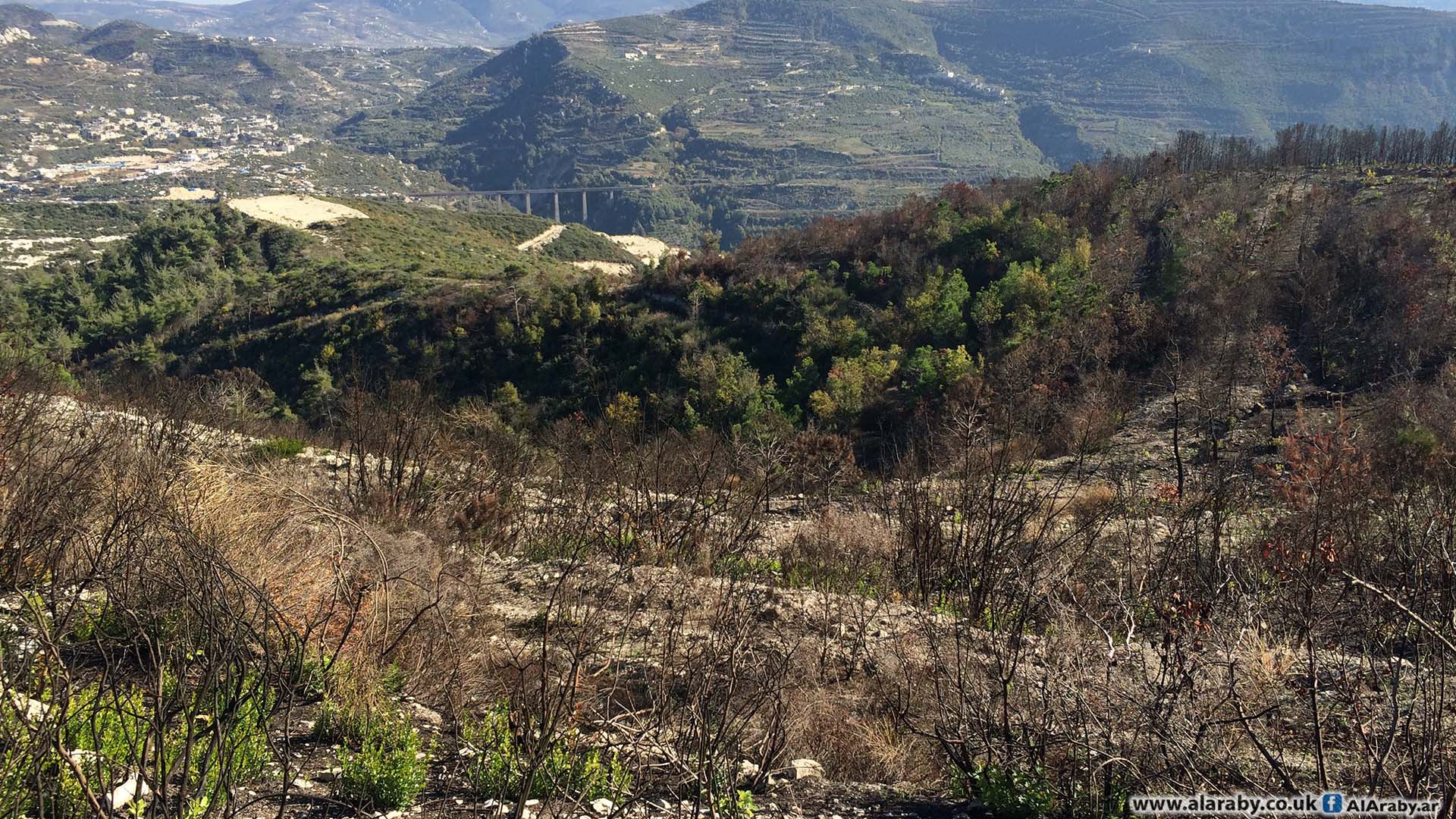 خسائر للنظام بمحاولة تسلل بريف...