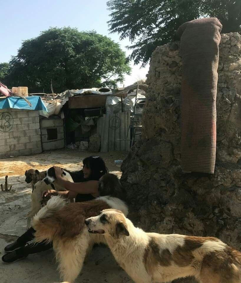 دمشق.. ملجأ "سارا" لإنقاذ الحي...