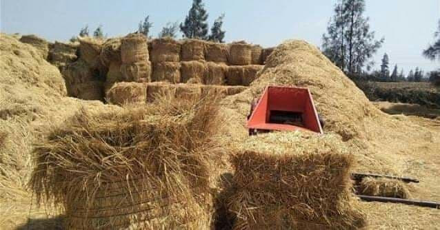 طن التبن بـ800 ألف ليرة واتهام...