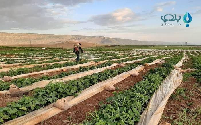 مزارعون سوريون: يصلنا الفتات م...