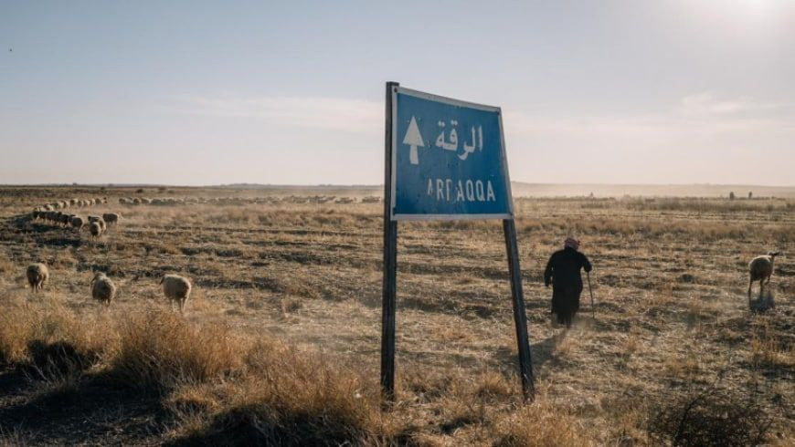 مقتل أربعة رعاة أغنام في ريف ا...