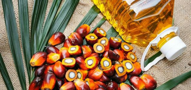 ارتفاع الطلب على زيت النخيل في...