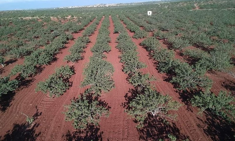 بذريعة الإرهاب.. أراضي المهجري...