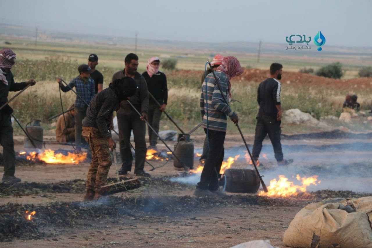 قوات النظام تستهدف عمال الحصاد...