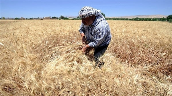 النظام يتوقع إنتاج أكثر من ملي...
