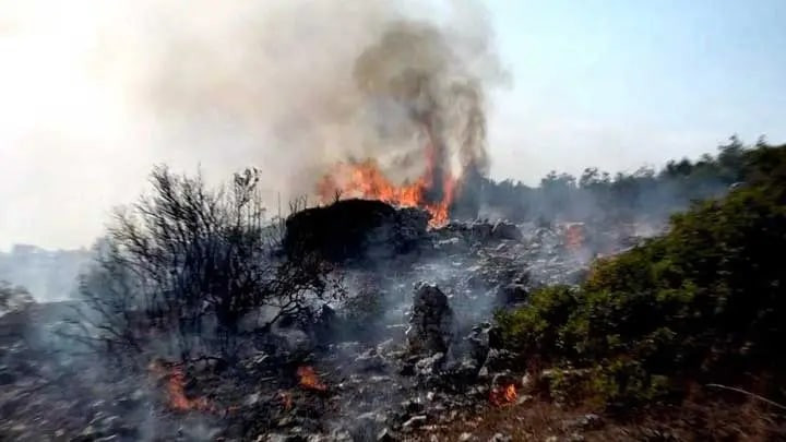 حريق يلتهم عشرات الدونمات المز...