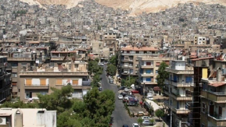 مسؤول يتغنى بارتفاع أسعار العق...