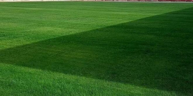 سوريا: أجرة الساعة في ملاعب كر...