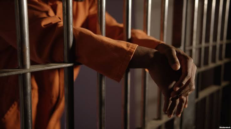 "لجنة التحقيق" توصي بإنشاء آلي...