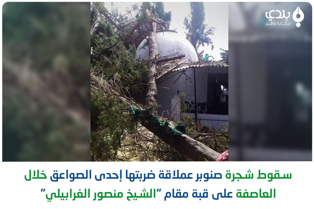 تضرر 70 سيارة خاصة و500 شجرة ج...