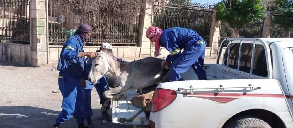 "الإدارة الذاتية" تبدأ حملة تس...