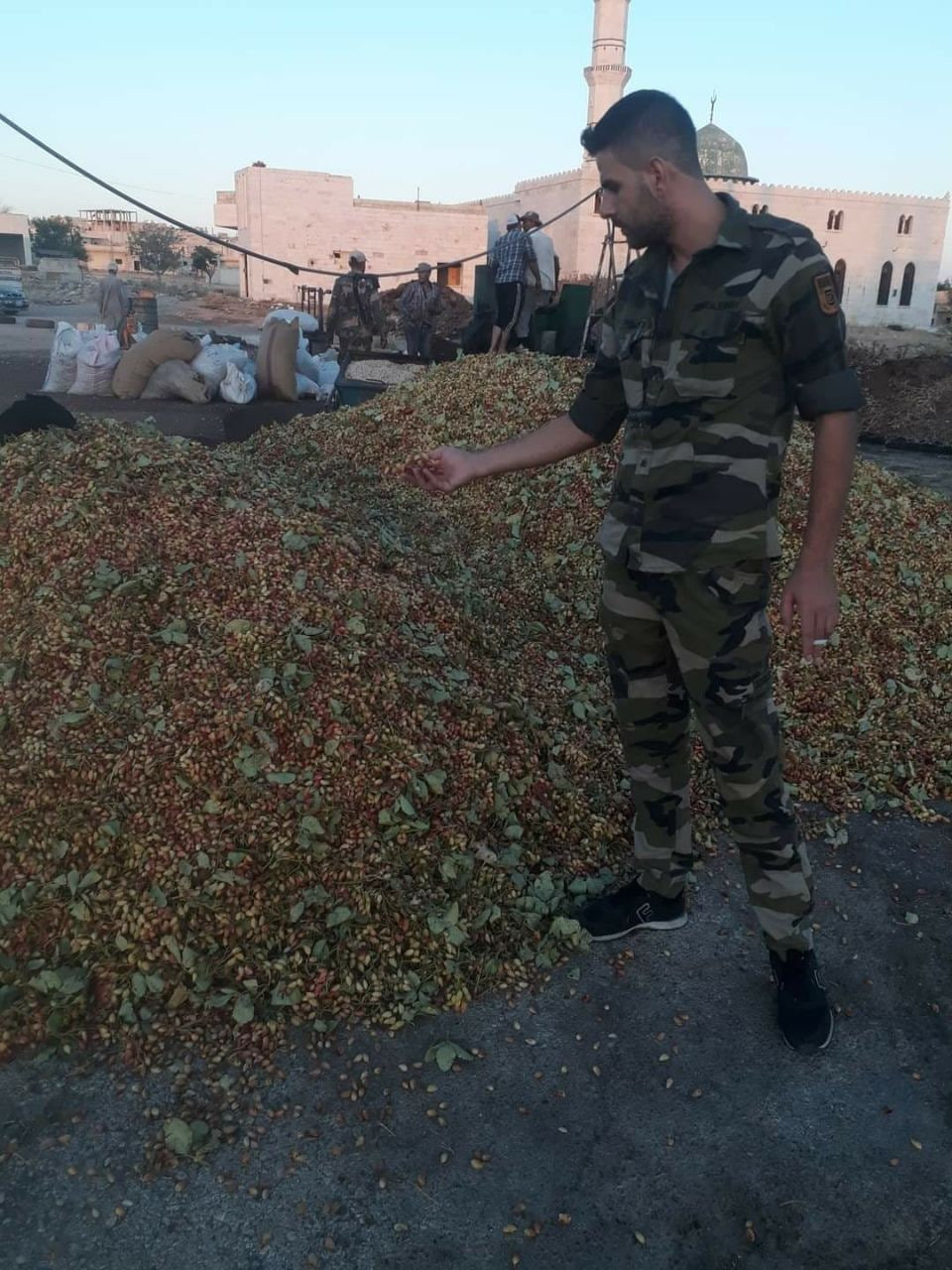 ميليشيات النظام تواصل سرقة محا...