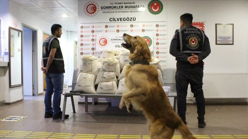 تركيا تضبط 2 مليون حبة كبتاغون...