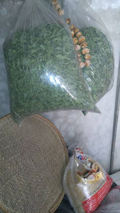 السوريون يتوجهون إلى التجفيف ل...