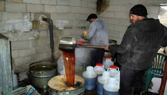 عزوف منتجي الدبس عن العمل بسبب...