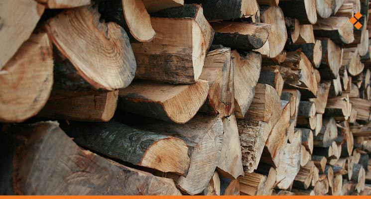 اللاذقية.. حطب مدعوم للعائلات