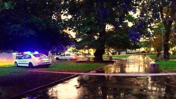 وفاة ثلاثة شبان سوريين في بلغا...