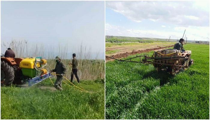 سوريا.. هل تتوجه الزراعة للأسم...