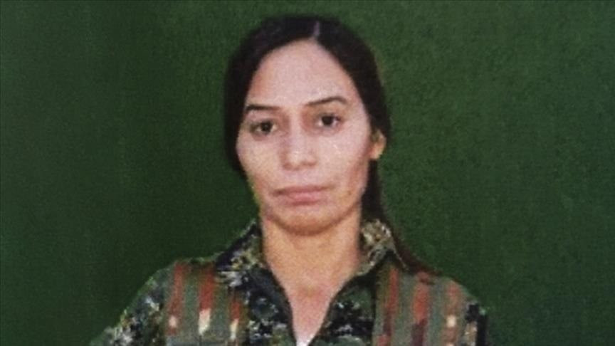 المخابرات التركية تعلن "تحييد"...