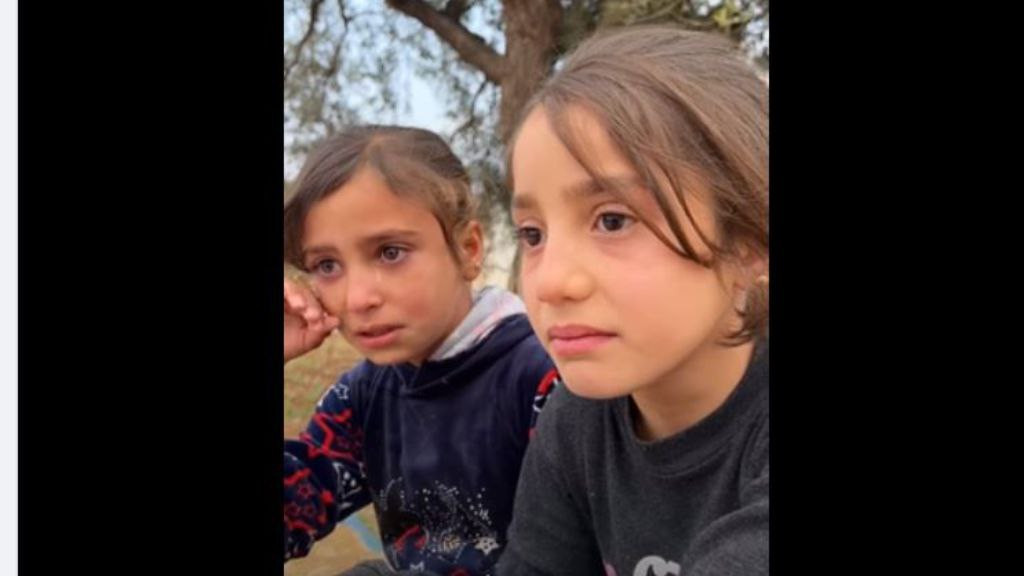 أبواق الأسد والتلفزيون الجزائر...