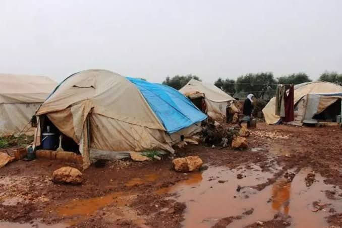 منسقو الاستجابة: نسبة العجز ال...