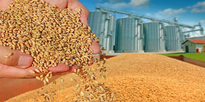 عقود مع شركات روسية لتوريد ملي...