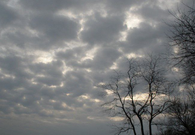 أجواء غائمة.. تعرف إلى حالة ال...