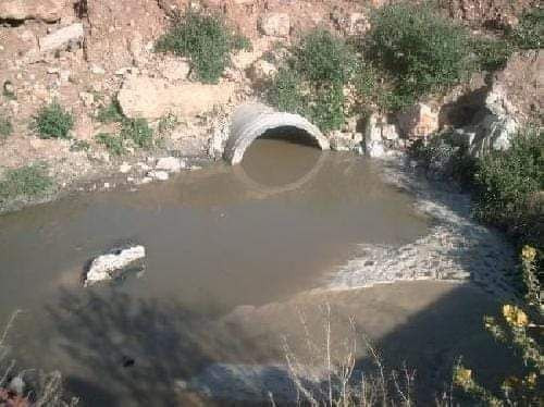 مياه الصرف الصحي تُغرق حقول ال...