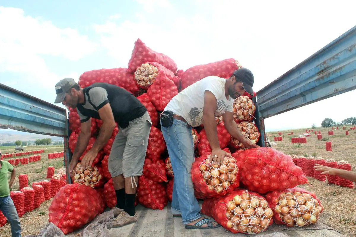 قرار سابق لحكومة النظام يرفع أ...