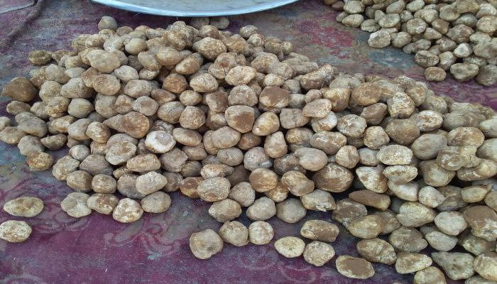 موسم وفير.. ظهور الكمأة في دير...