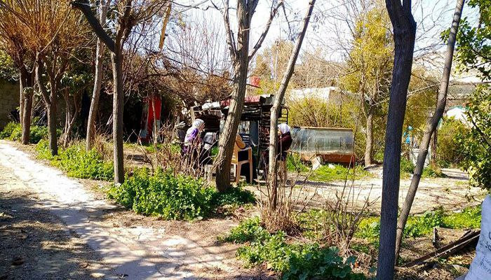 "كيوان" وسط دمشق مهددة بالإخلا...