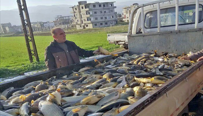 انخفاض حصة الفرد من السمك في س...