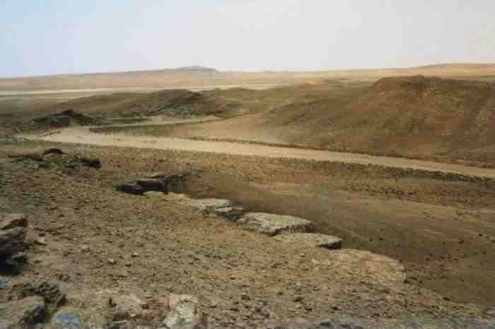 البادية تبتلع المزيد من الباحث...