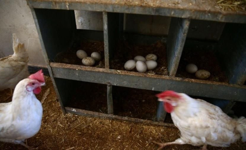 باعتراف رسمي.. 80 بالمئة من مر...