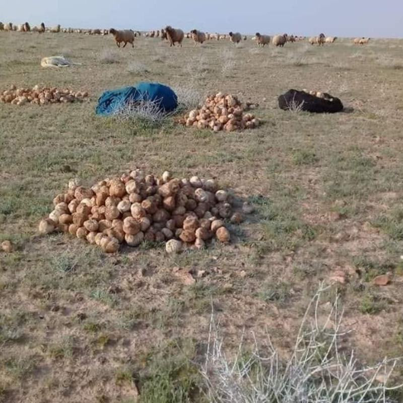 4 ضحـايا بانفجـارين منفصلين في...