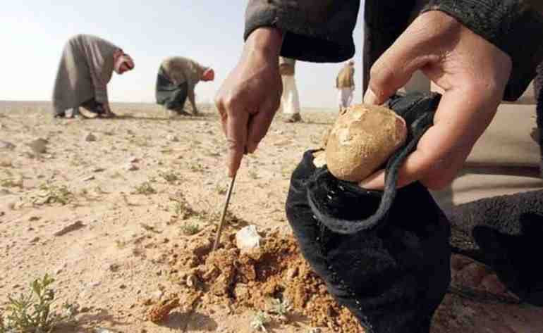 لـغـم يودي بحياة 6 أشخاص في حم...