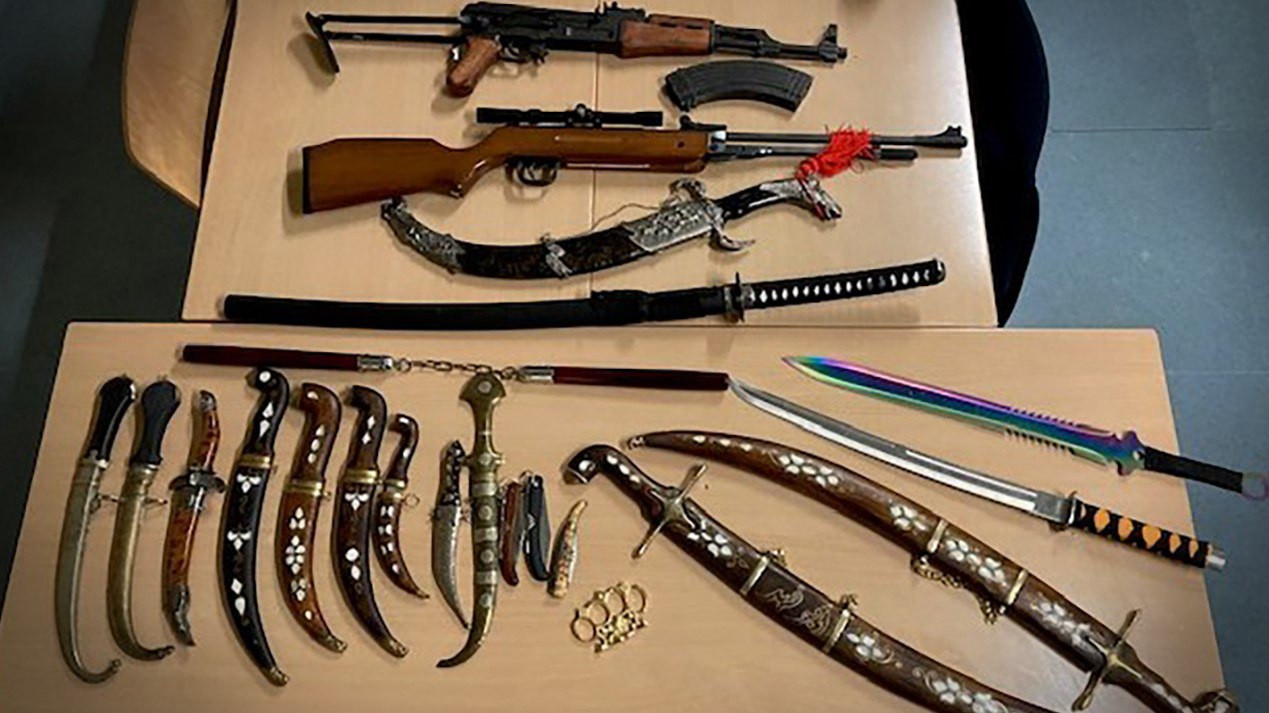 الشرطة النمساوية تصادر 22 قطعة...