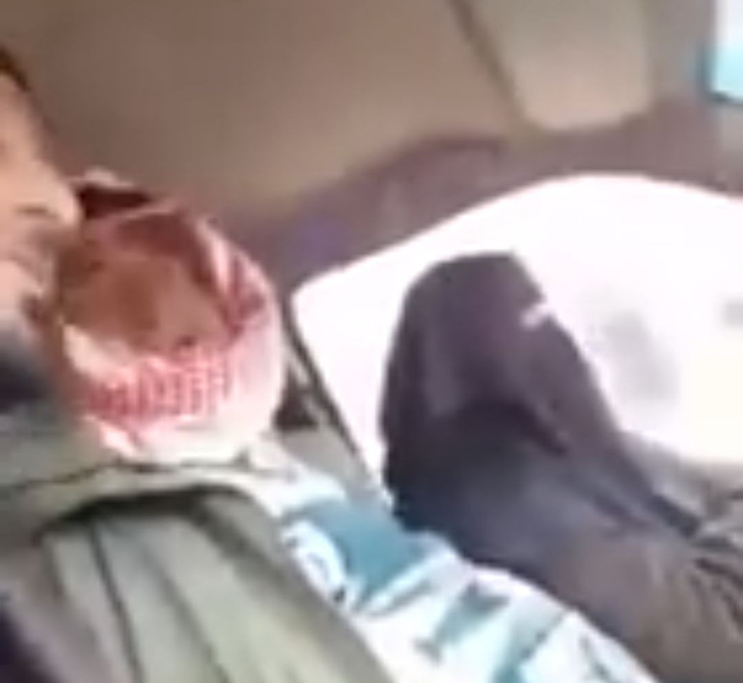 القبض على أحد المتحـ.رشين بسيد...