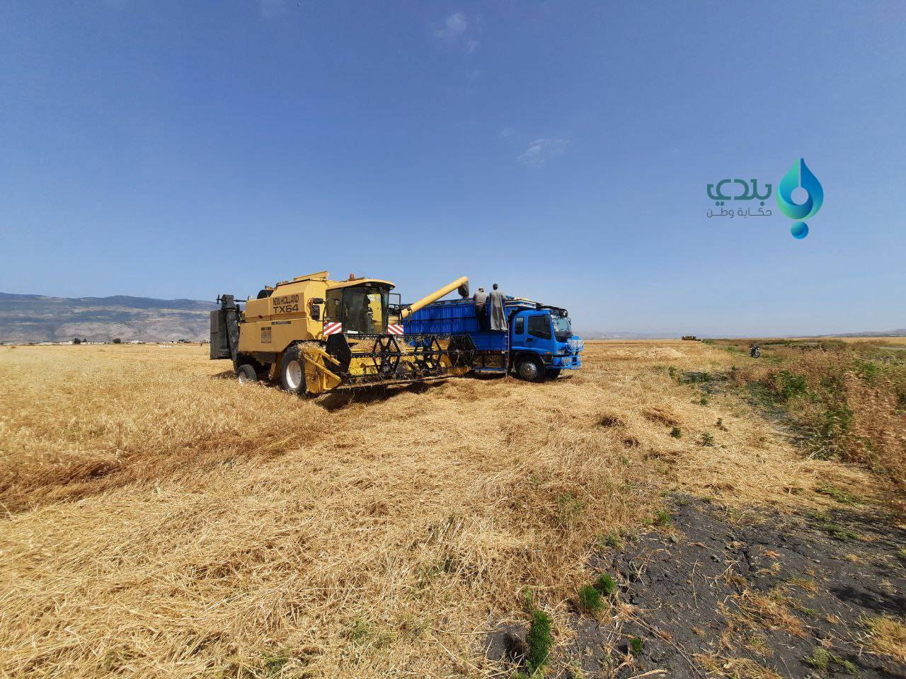 "حكومة الإنقاذ" تحدد سعر القمح...