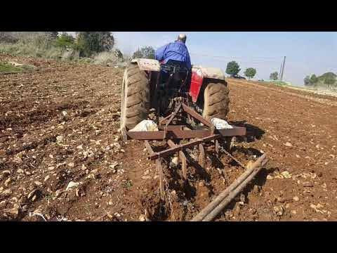 مزارعو اللاذقية يعجزون عن استص...