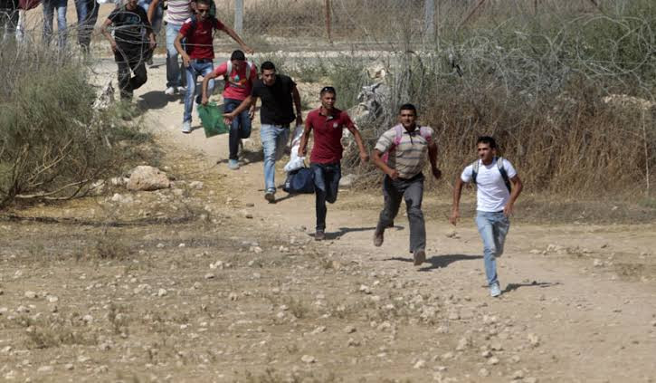 "دفاع المؤقتة" تقرر إعادة مرتك...