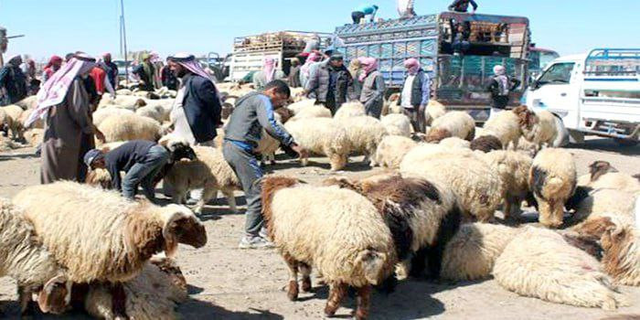 رئيس جمعية اللحامين: نسبة الإق...