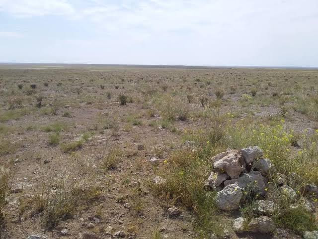 قتلا بظروف غامضة.. العثور على...